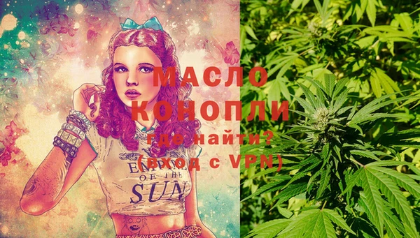 гашик Дмитровск