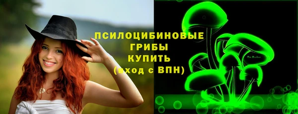 прущие крисы Елизово