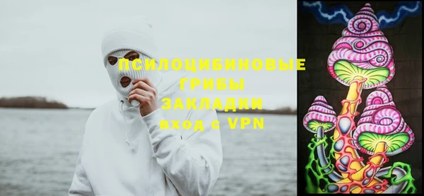 прущая мука Дмитров