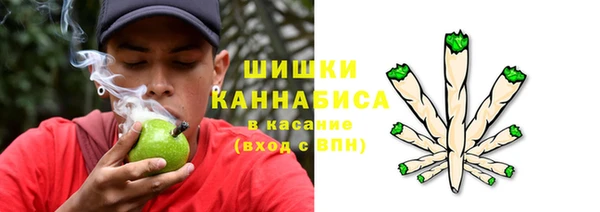 гашик Дмитровск