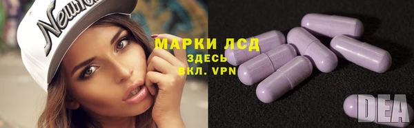 бошки Елабуга