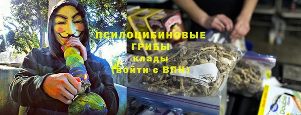 гашик Дмитровск