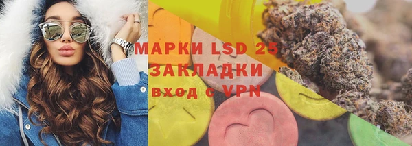гашик Дмитровск